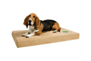 An orthopedic dog bed